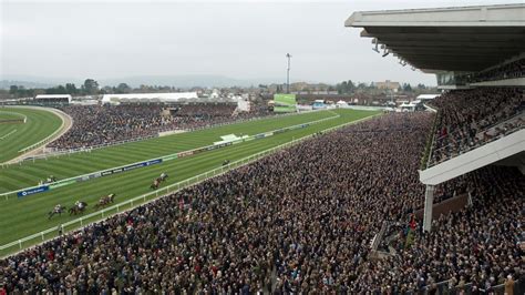 cheltenham races news|Cheltenham Racecourse .